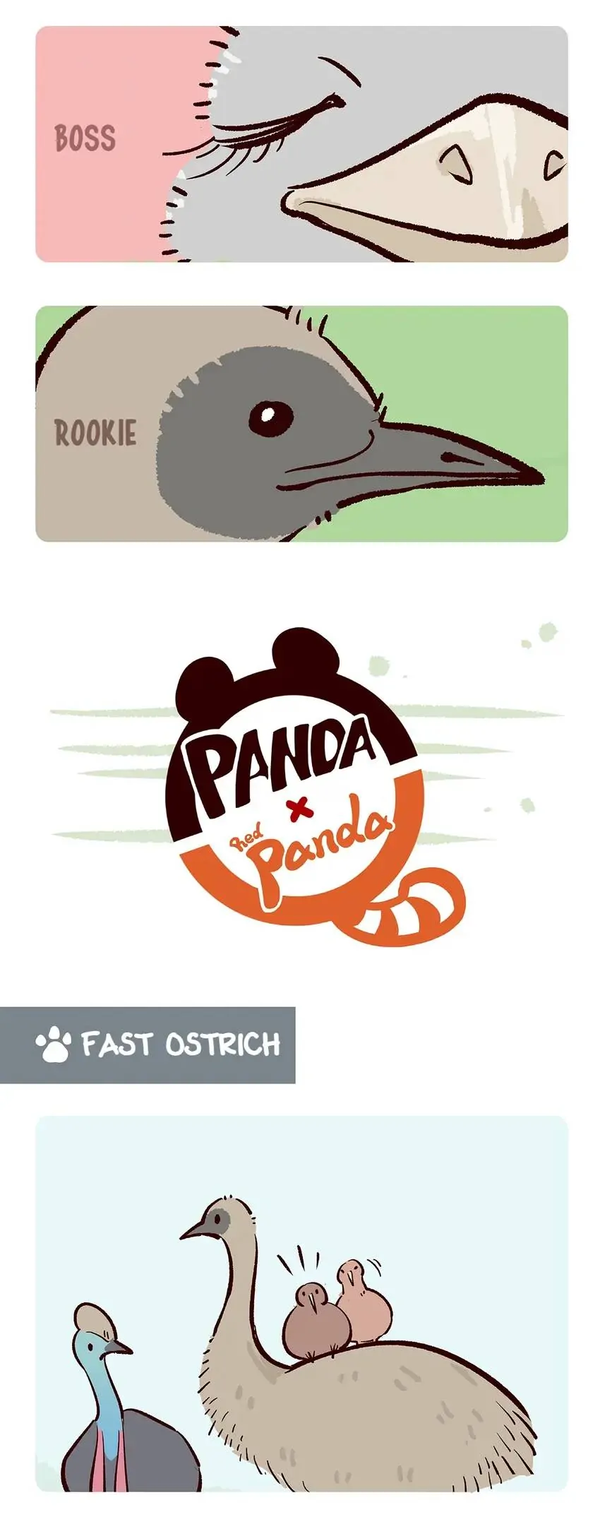 Panda and Red Panda - chapter 102 - #5
