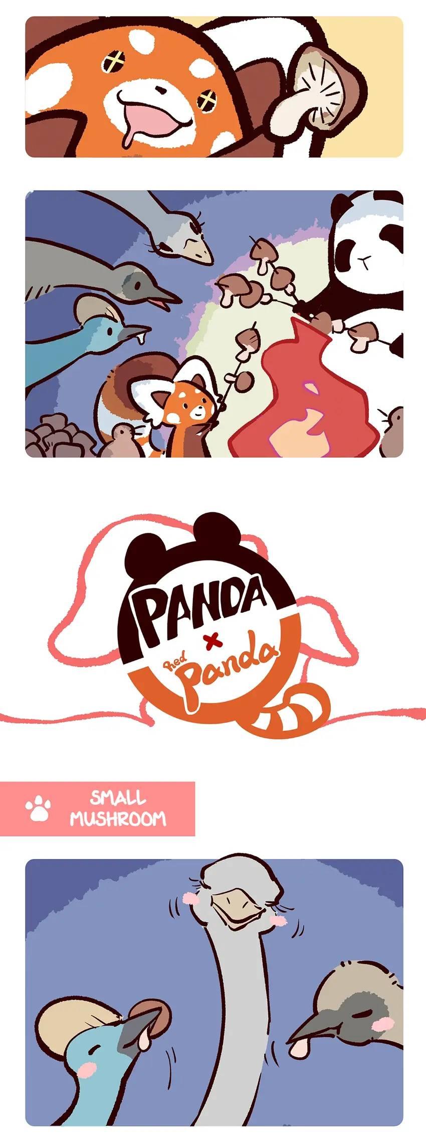 Panda and Red Panda - chapter 104 - #4
