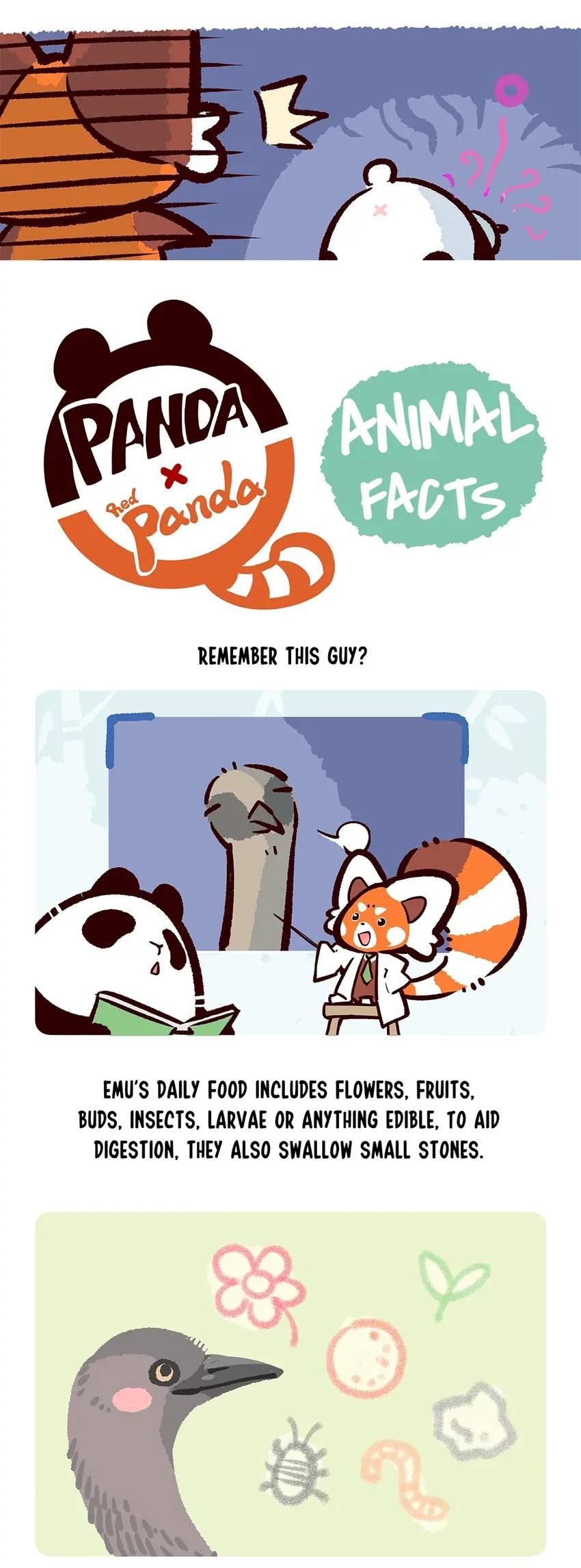 Panda and Red Panda - chapter 105 - #6