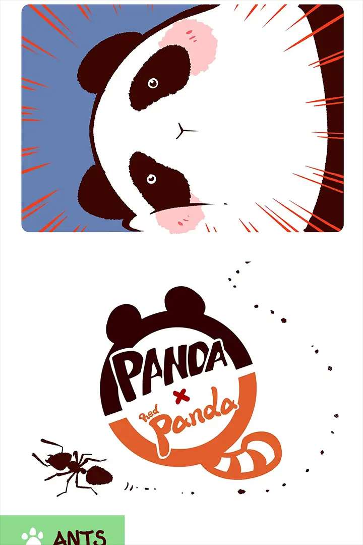 Panda and Red Panda - chapter 11 - #4