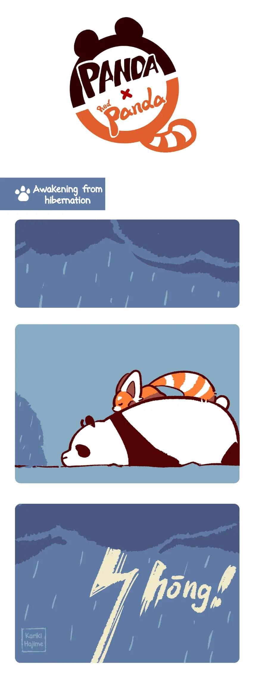 Panda and Red Panda - chapter 127 - #2