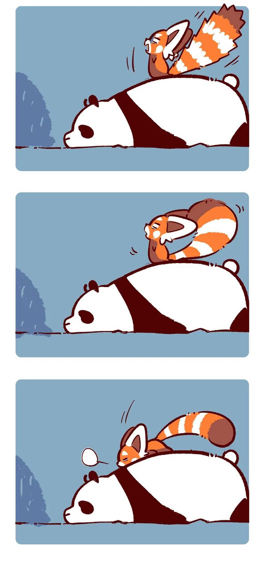 Panda and Red Panda - chapter 127 - #3
