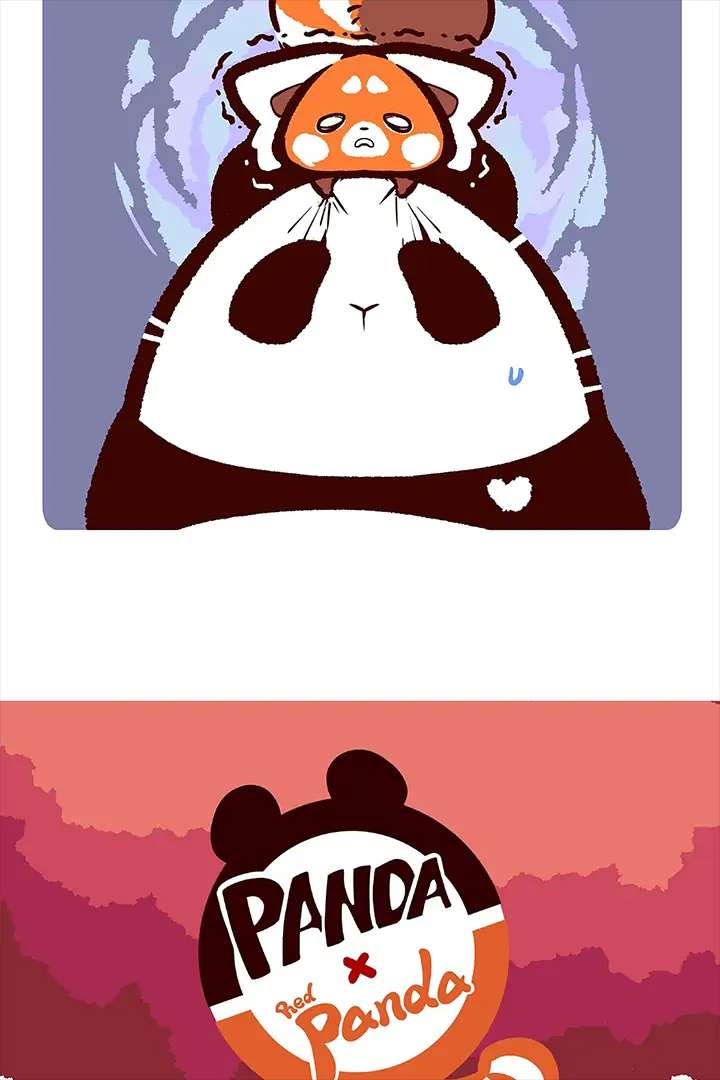 Panda and Red Panda - chapter 13 - #6