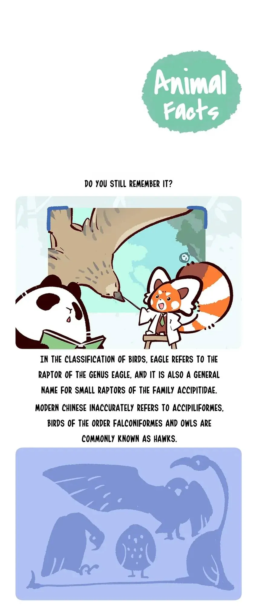 Panda and Red Panda - chapter 135 - #6
