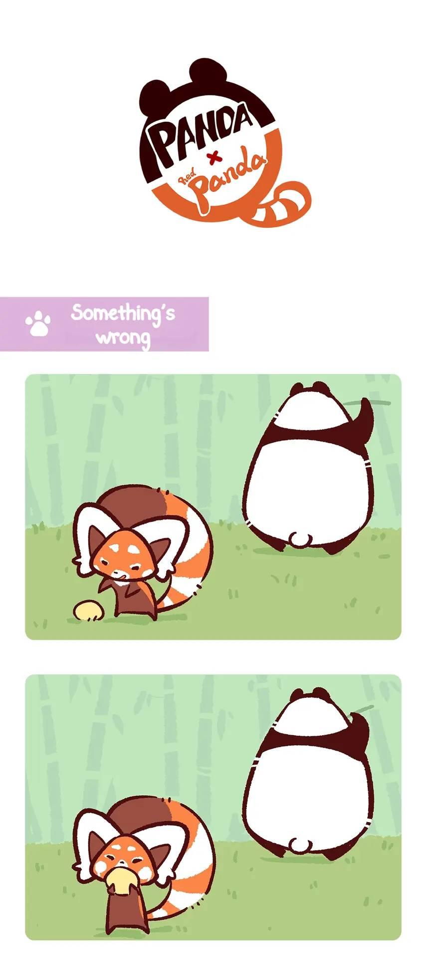 Panda and Red Panda - chapter 137 - #2