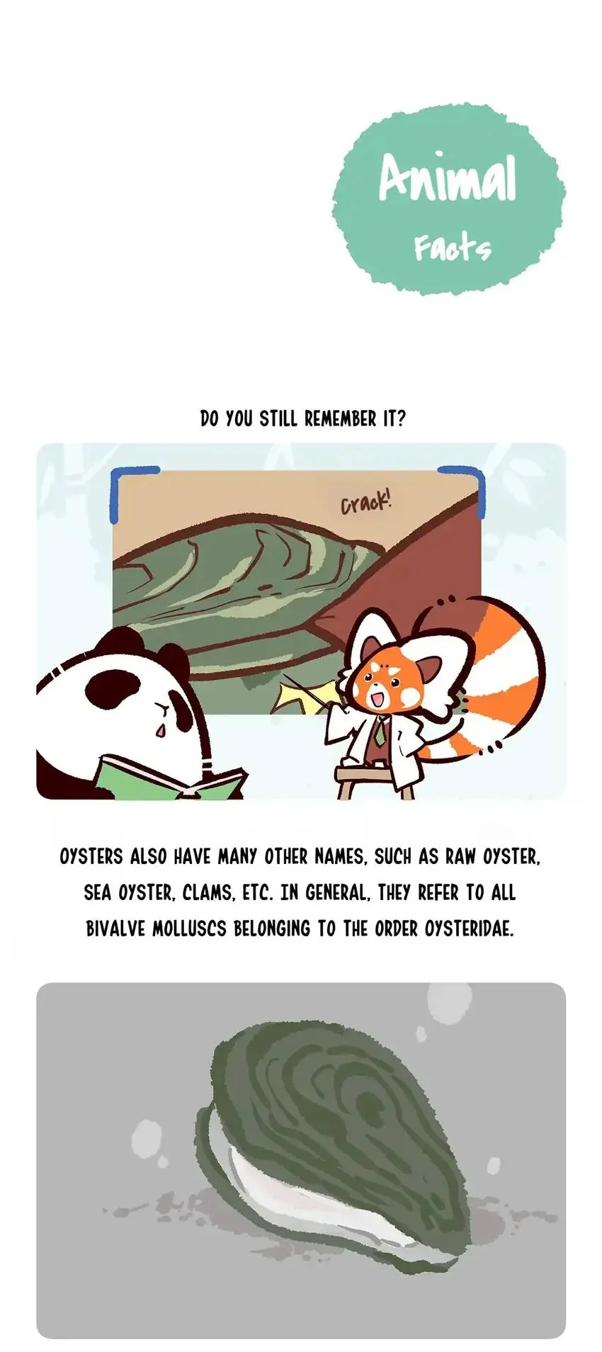 Panda and Red Panda - chapter 142 - #6