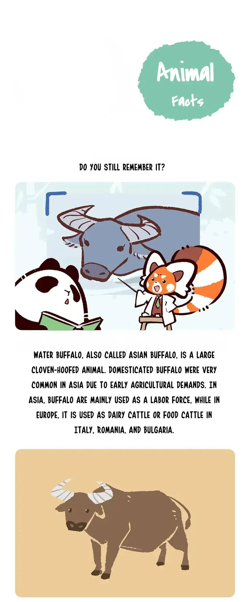 Panda and Red Panda - chapter 143 - #6