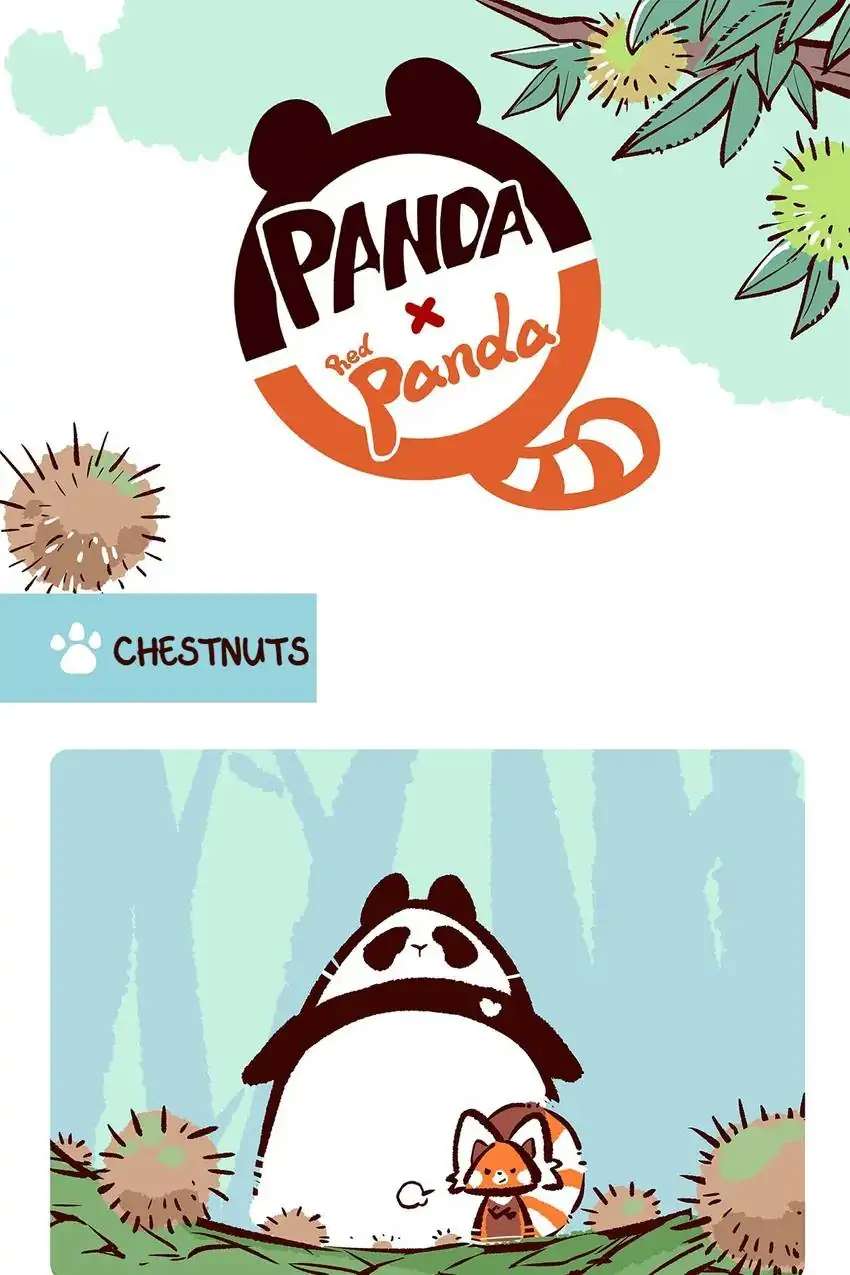 Panda and Red Panda - chapter 15 - #3