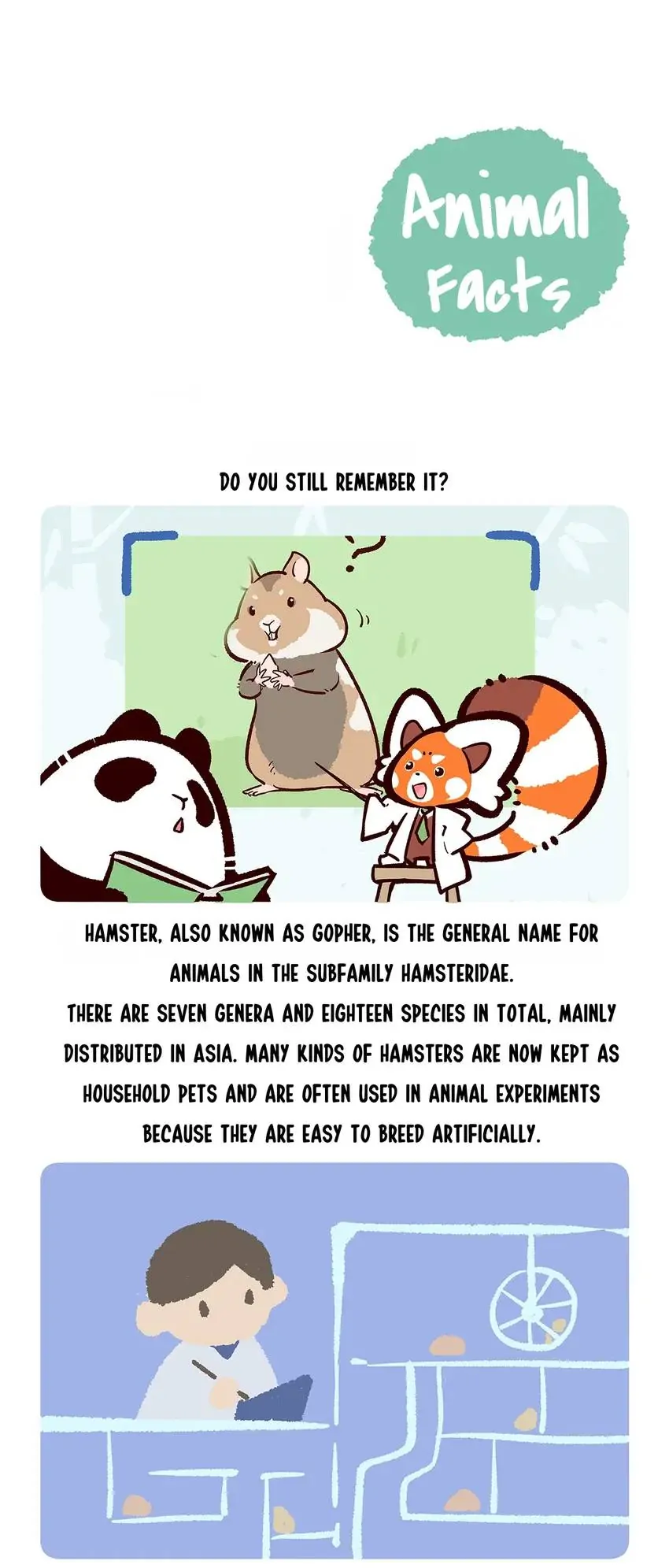 Panda and Red Panda - chapter 152 - #6
