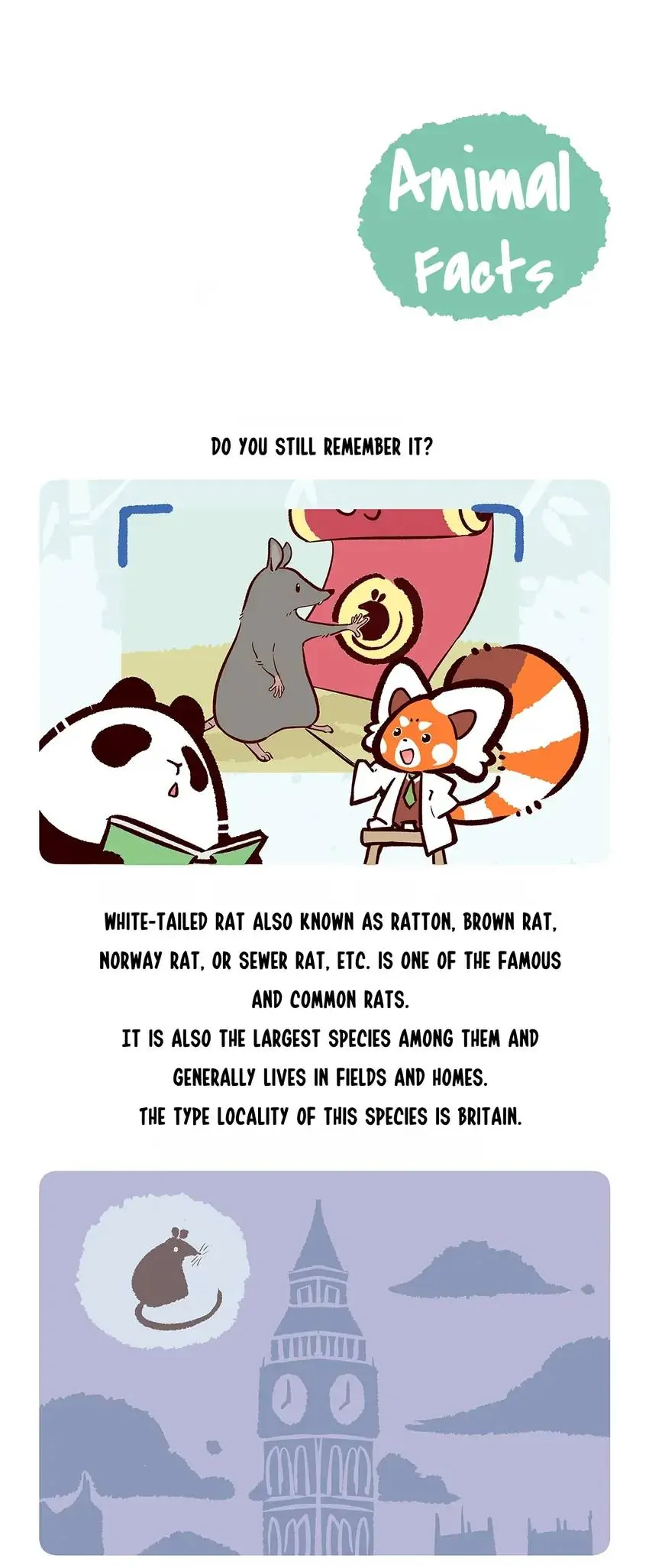 Panda and Red Panda - chapter 154 - #6