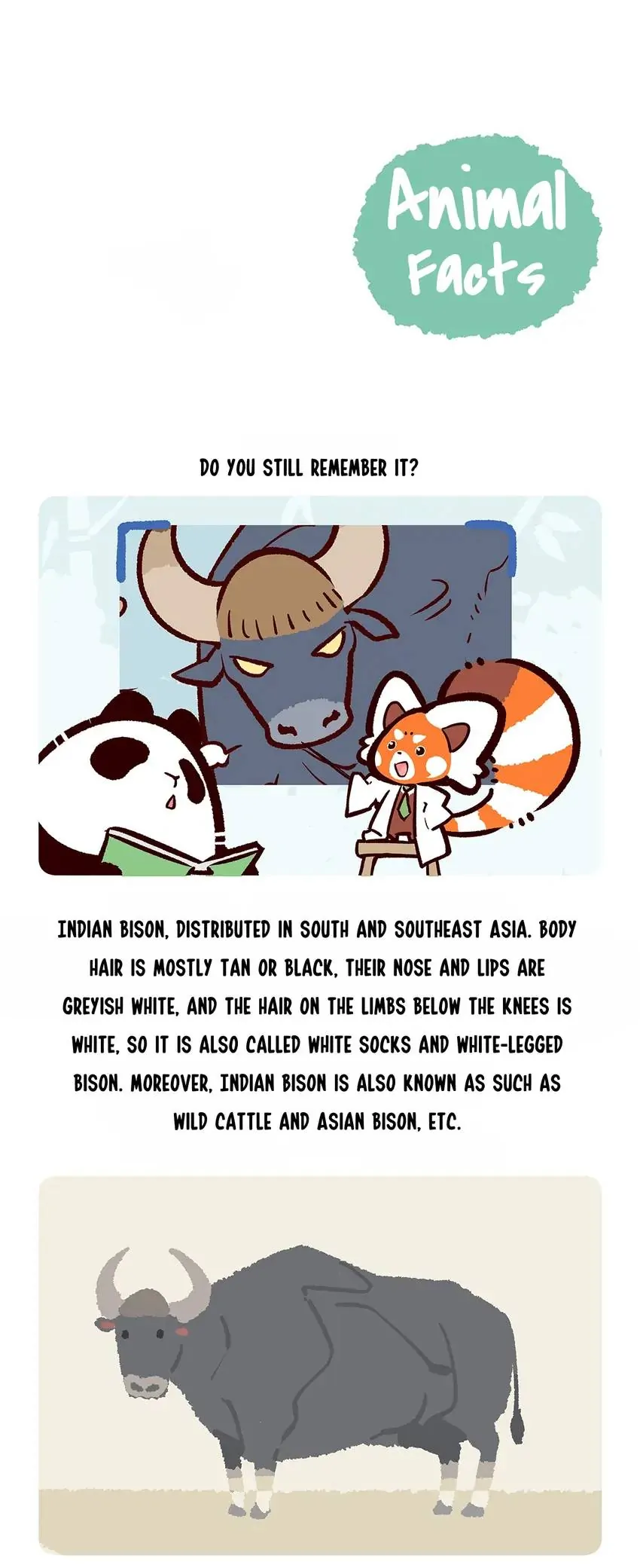 Panda and Red Panda - chapter 156 - #6