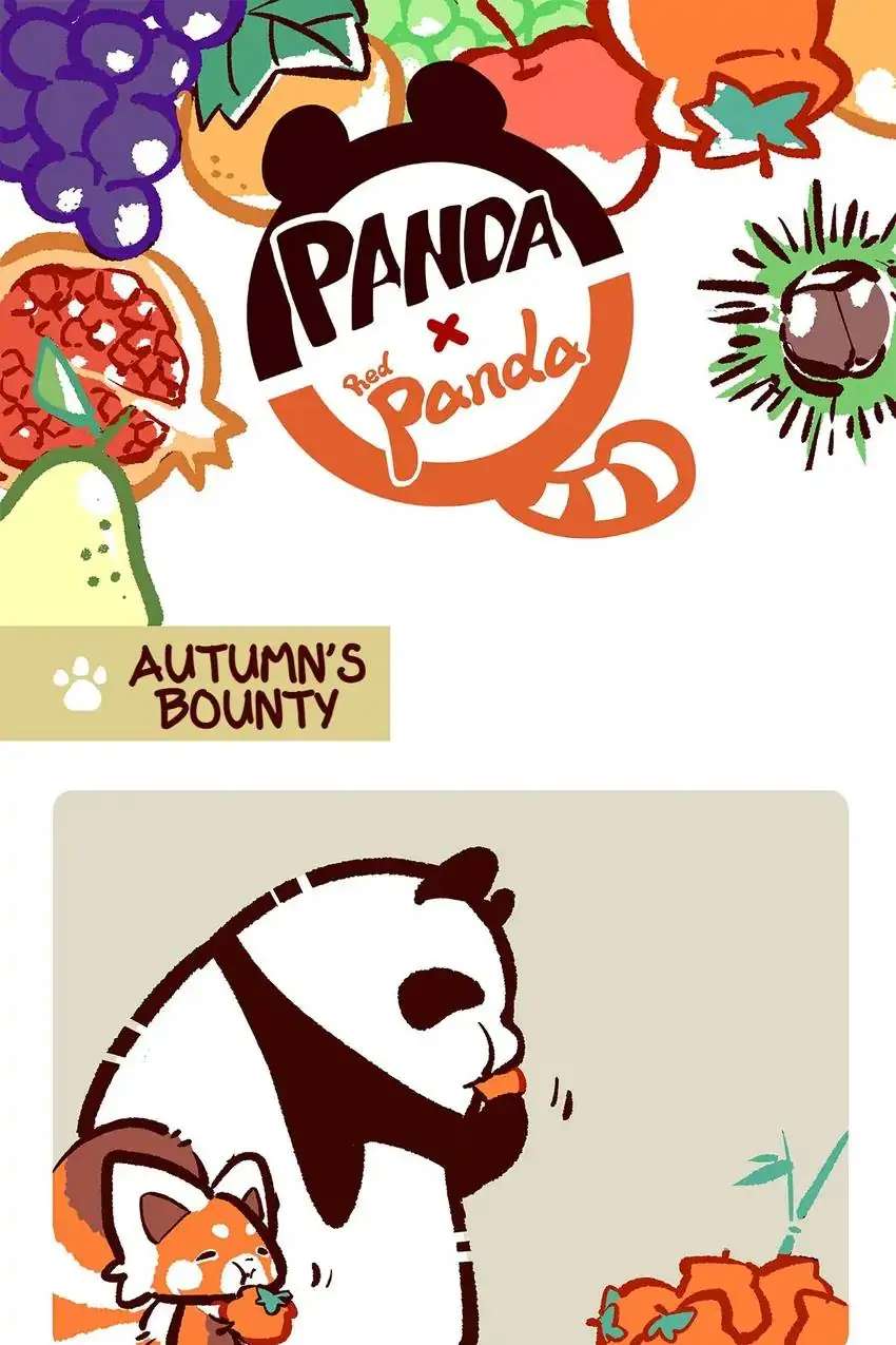 Panda and Red Panda - chapter 16 - #3