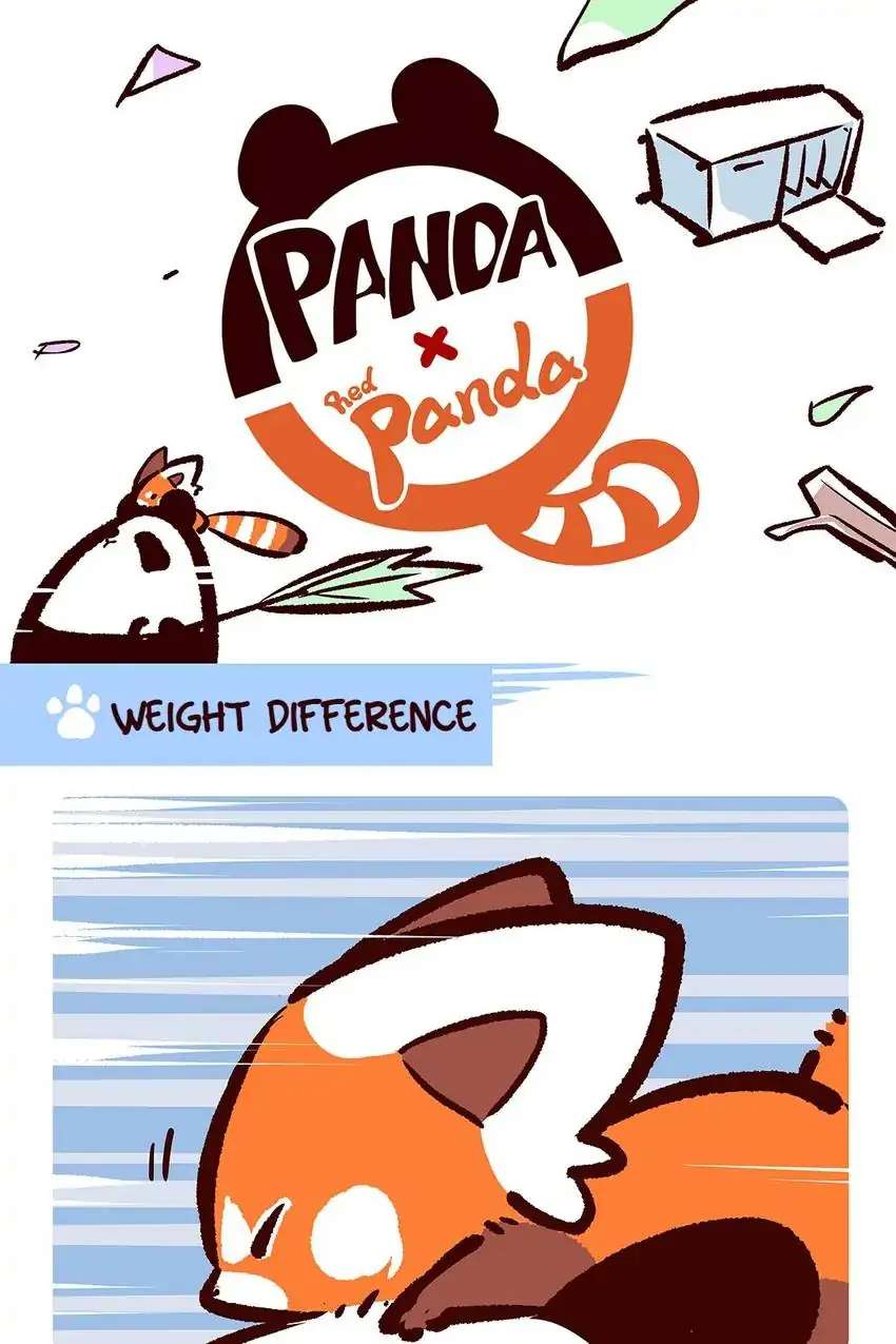Panda and Red Panda - chapter 18 - #2