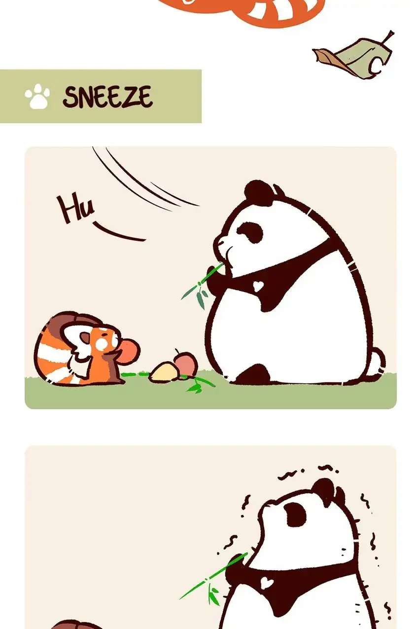 Panda and Red Panda - chapter 18 - #5