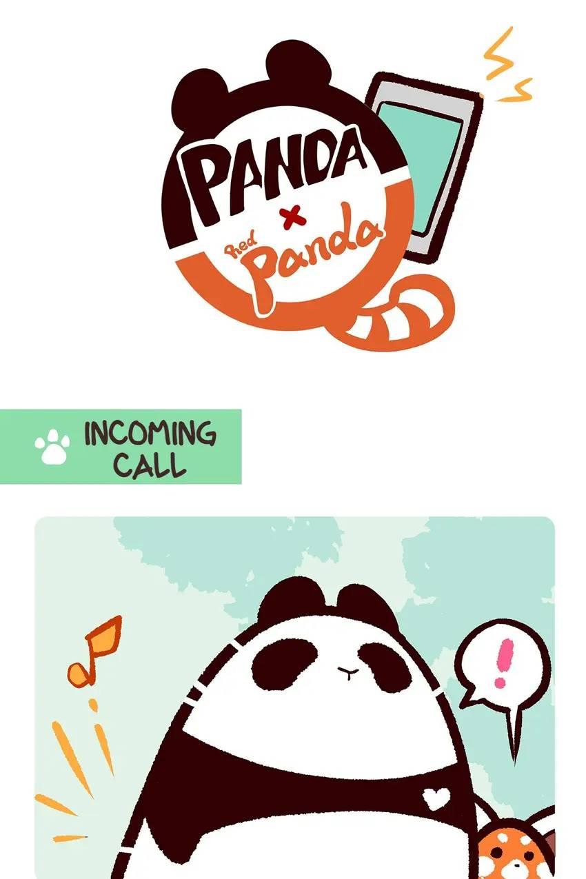 Panda and Red Panda - chapter 19 - #3