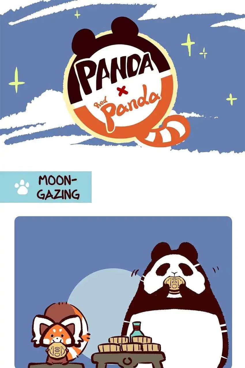 Panda and Red Panda - chapter 23 - #3