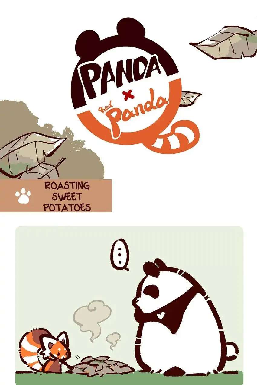 Panda and Red Panda - chapter 24 - #2