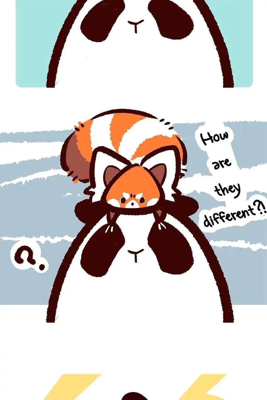 Panda and Red Panda - chapter 26 - #6