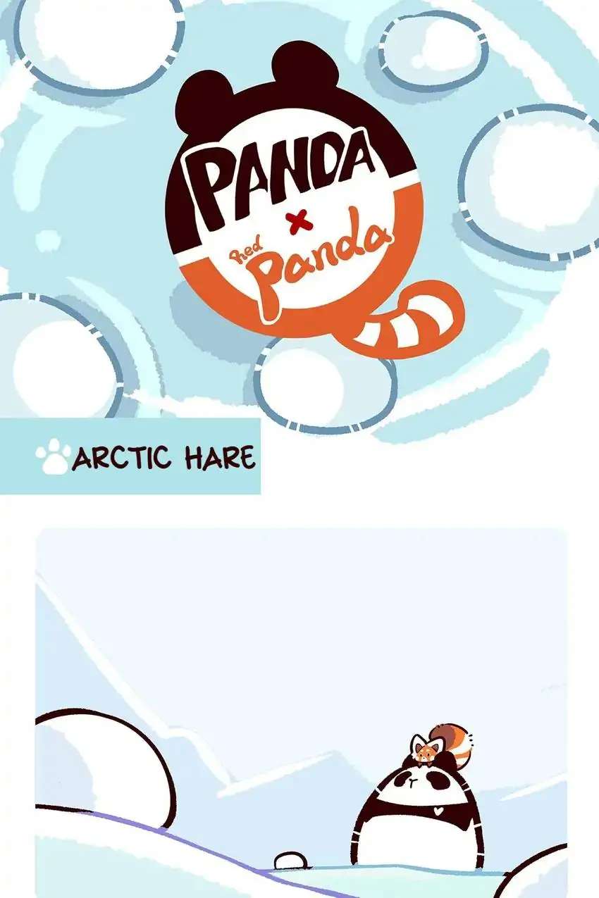 Panda and Red Panda - chapter 30 - #3