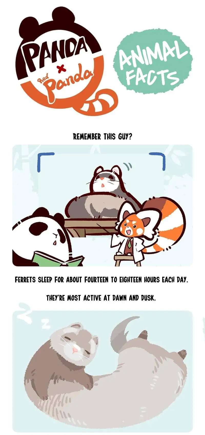 Panda and Red Panda - chapter 34 - #6
