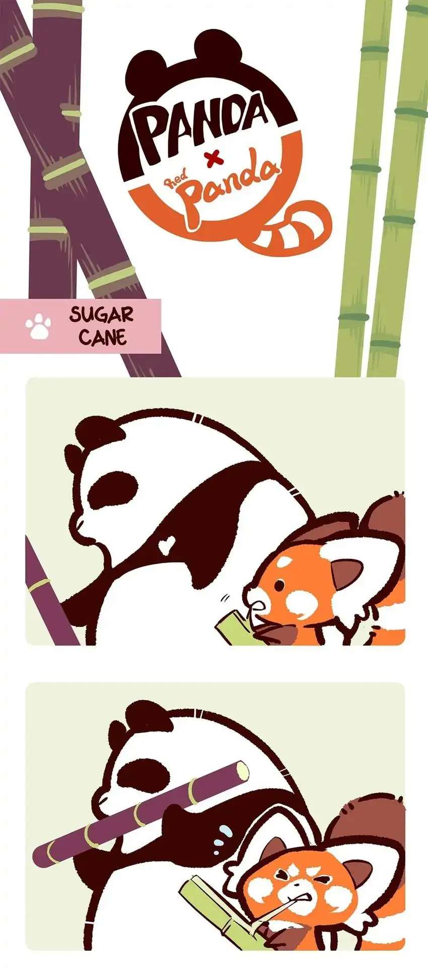 Panda and Red Panda - chapter 36 - #3