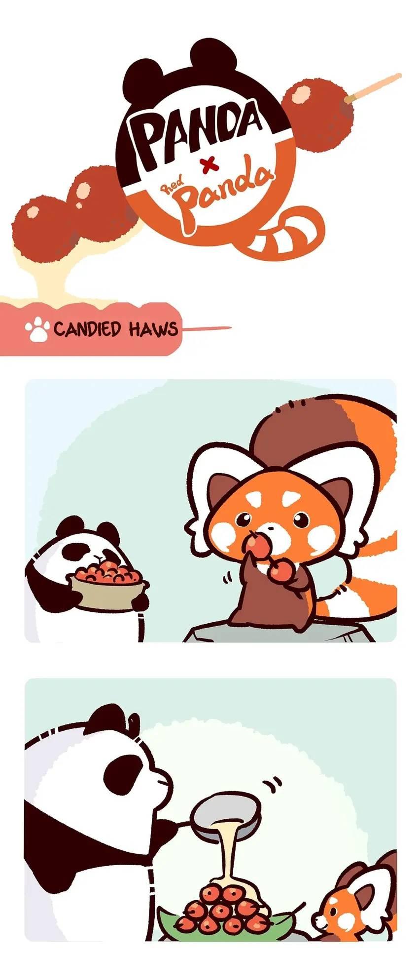 Panda and Red Panda - chapter 42 - #4
