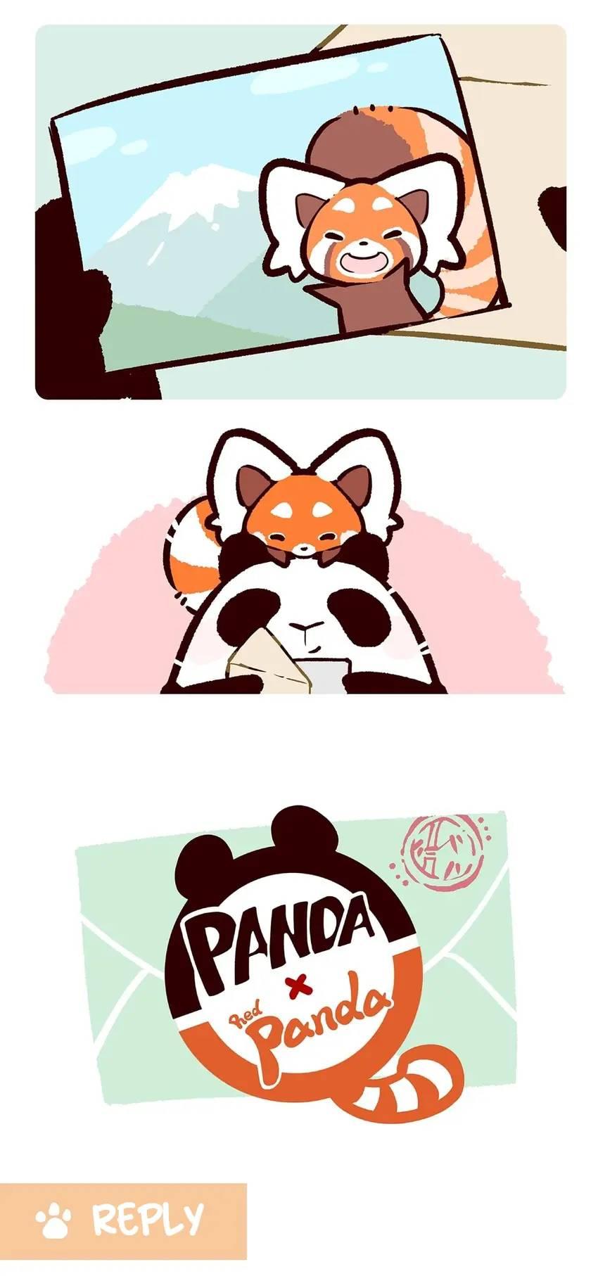 Panda and Red Panda - chapter 46 - #4