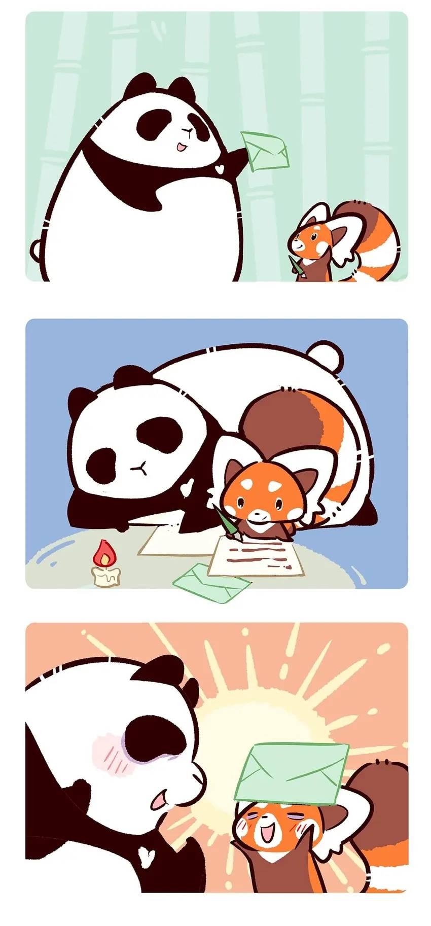 Panda and Red Panda - chapter 46 - #5