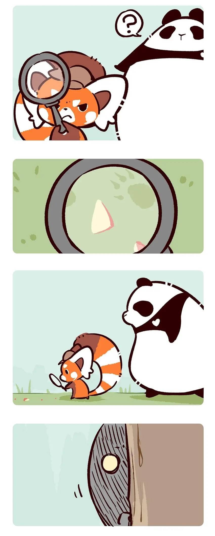 Panda and Red Panda - chapter 47 - #6