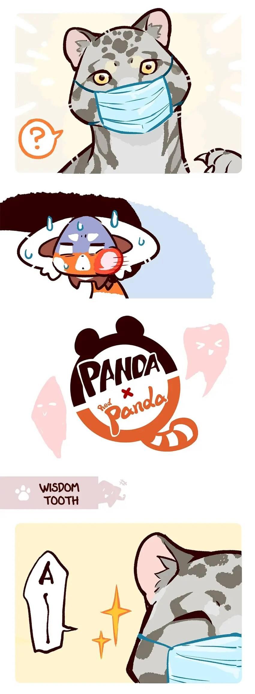 Panda and Red Panda - chapter 51 - #6