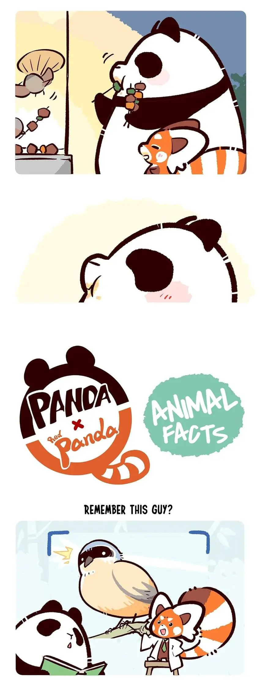 Panda and Red Panda - chapter 53 - #6