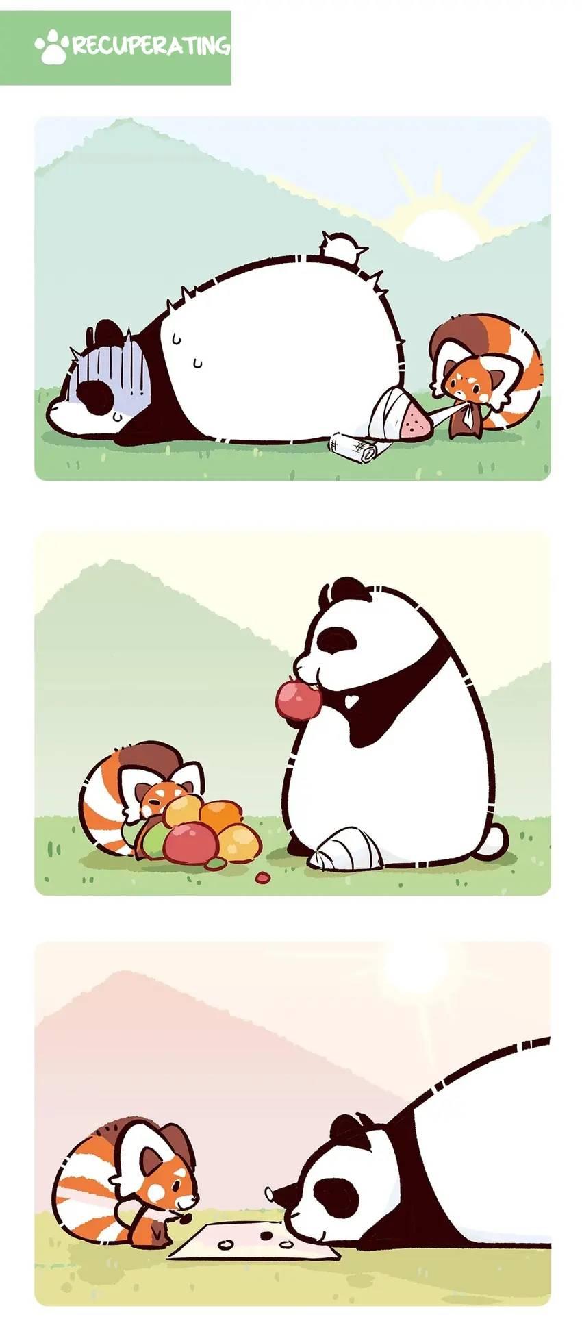 Panda and Red Panda - chapter 54 - #5
