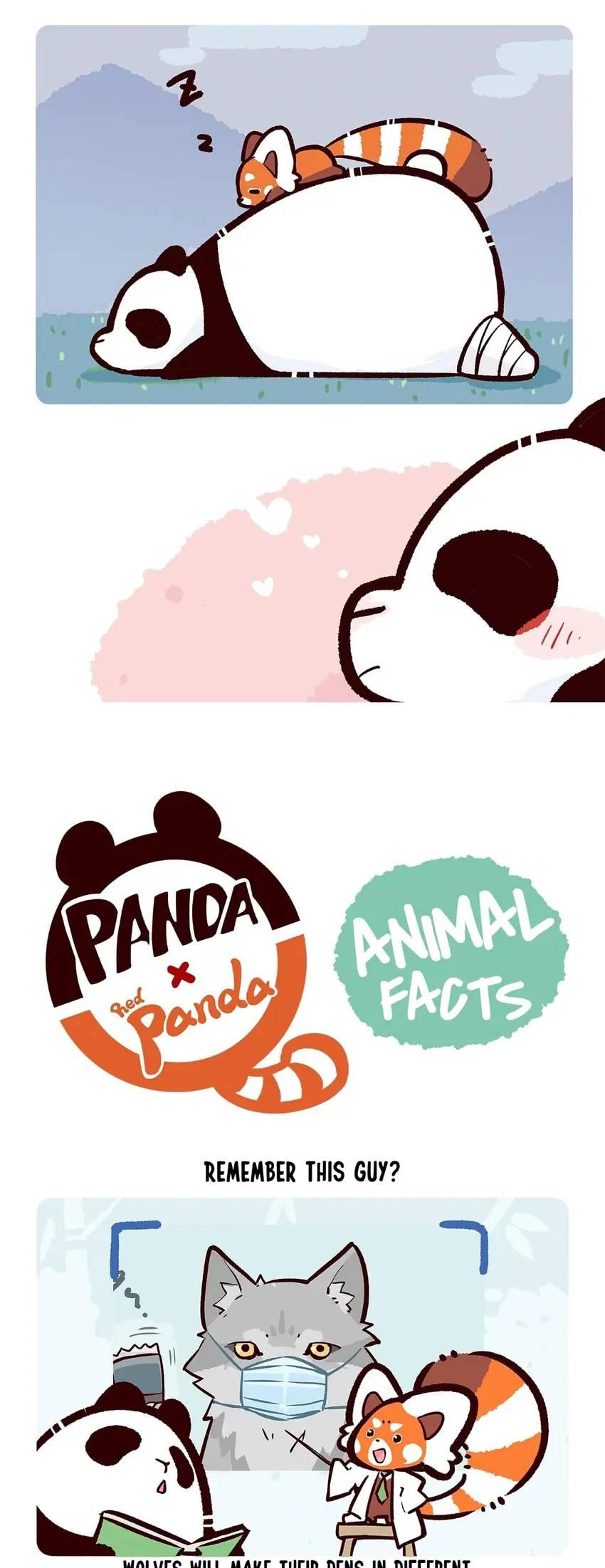 Panda and Red Panda - chapter 54 - #6