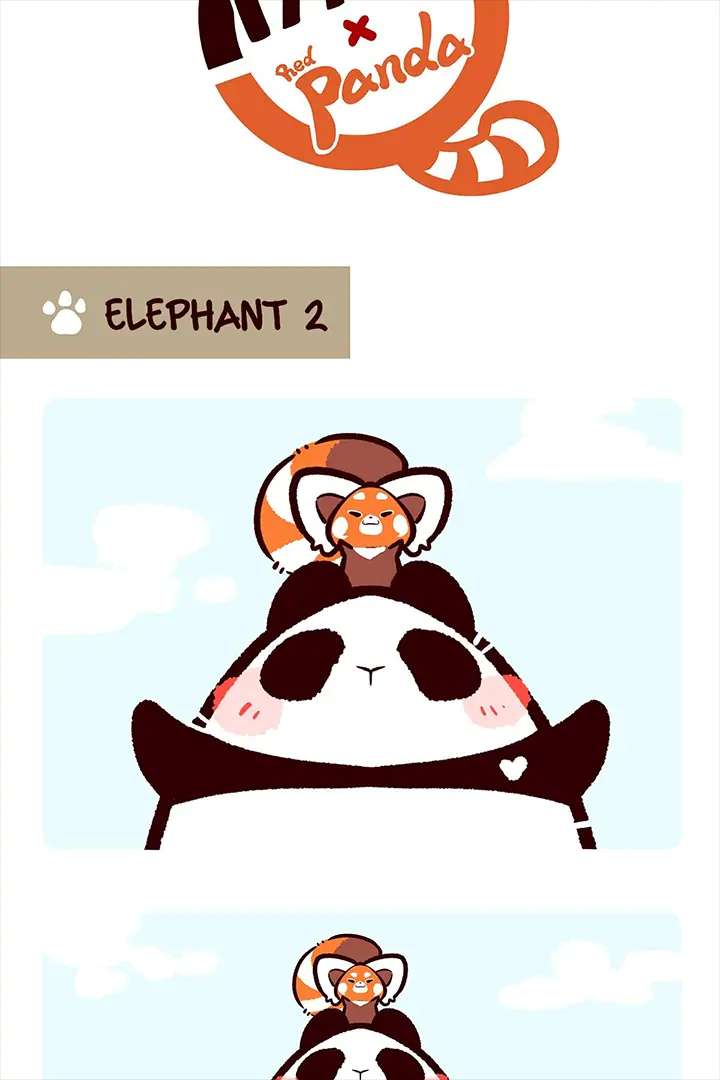 Panda and Red Panda - chapter 6 - #5