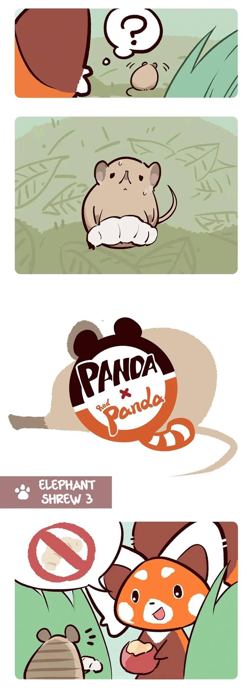 Panda and Red Panda - chapter 60 - #4
