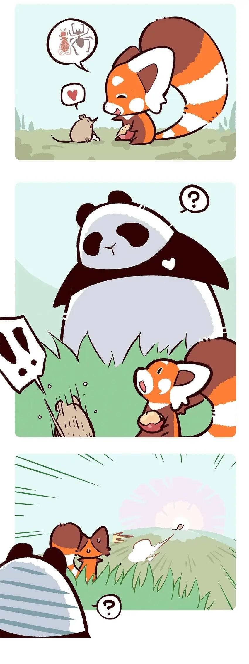 Panda and Red Panda - chapter 60 - #5