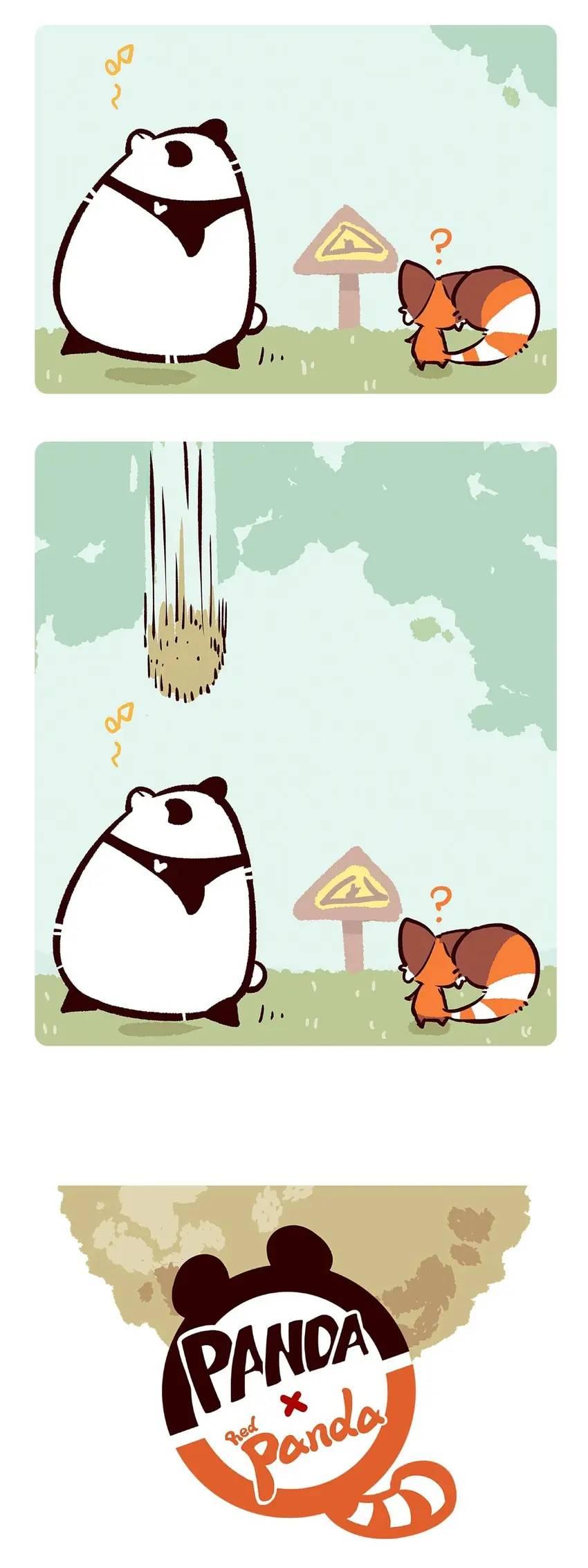 Panda and Red Panda - chapter 61 - #2