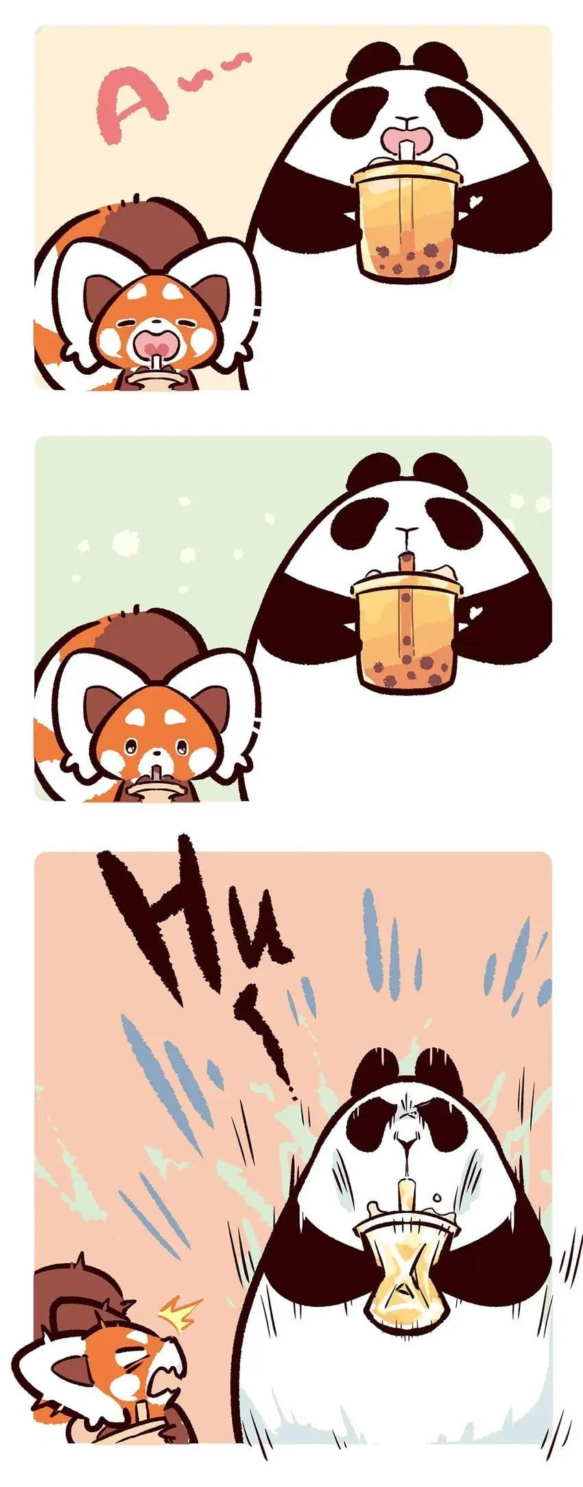 Panda and Red Panda - chapter 68 - #5