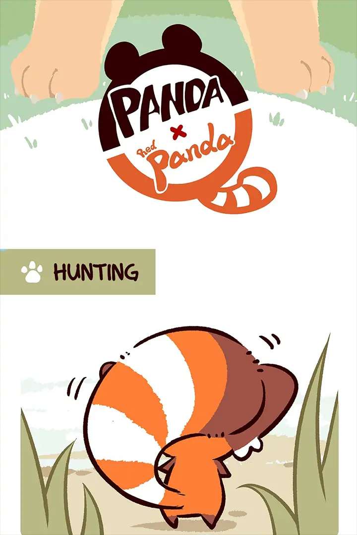 Panda and Red Panda - chapter 7 - #2