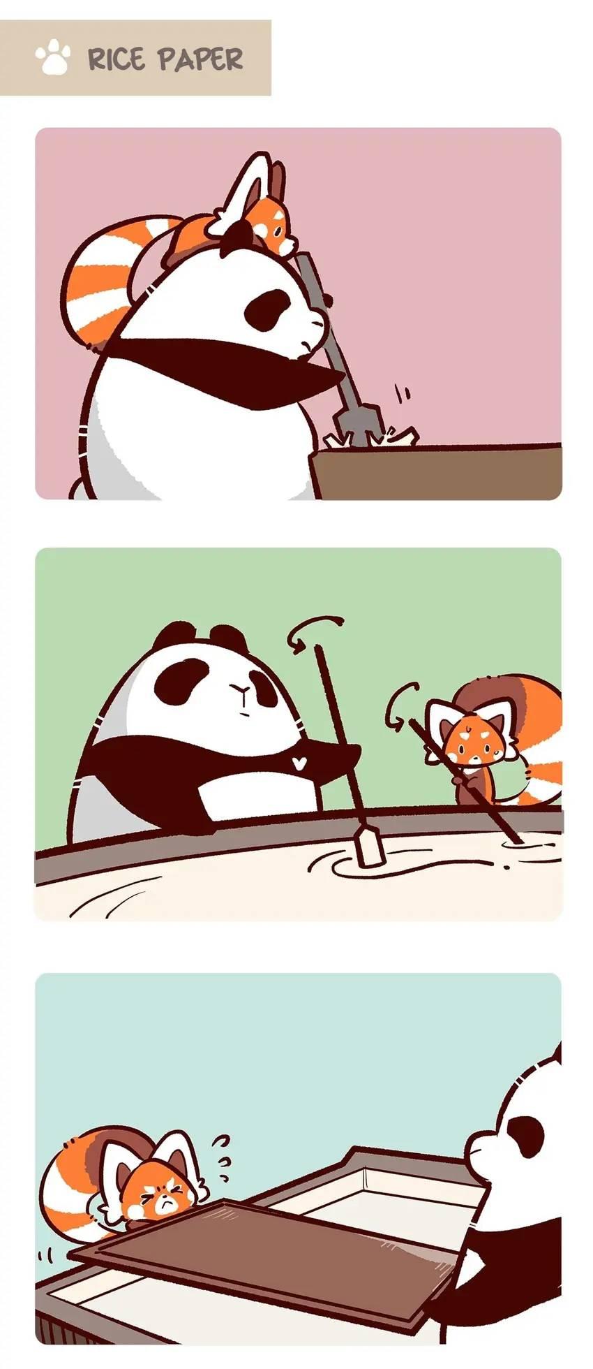 Panda and Red Panda - chapter 70 - #5