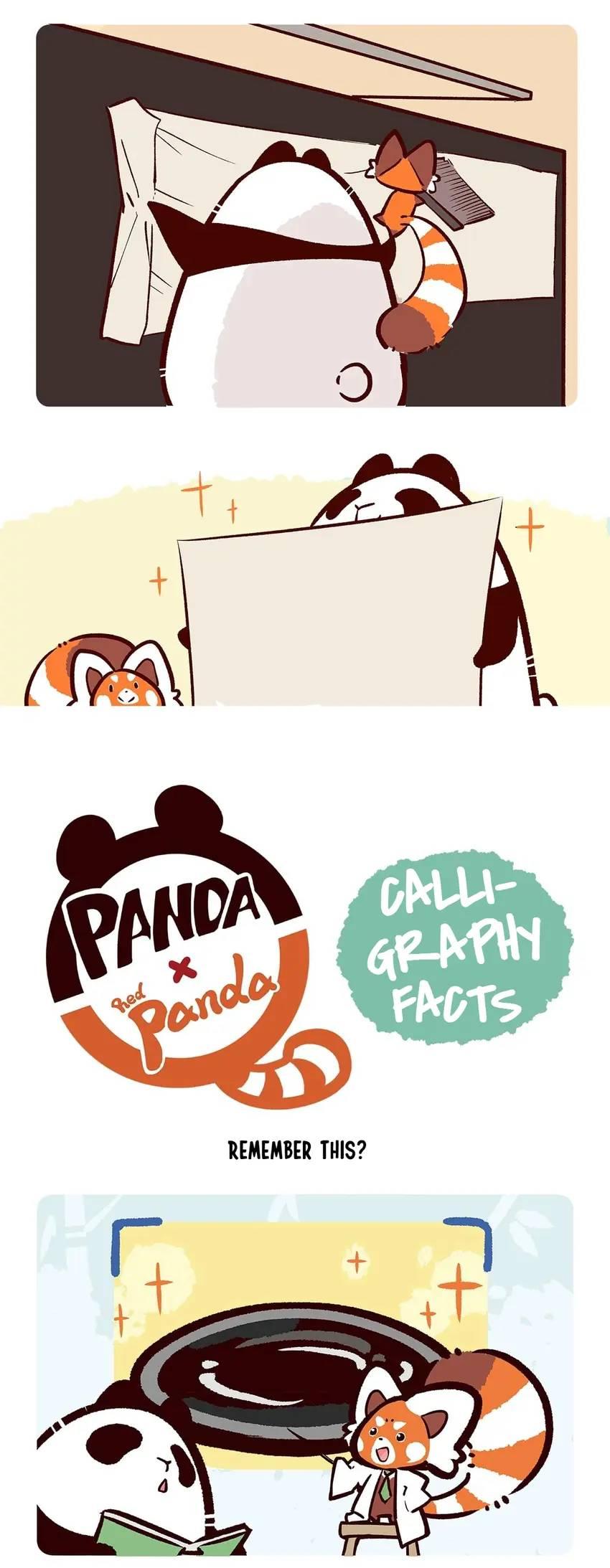 Panda and Red Panda - chapter 70 - #6