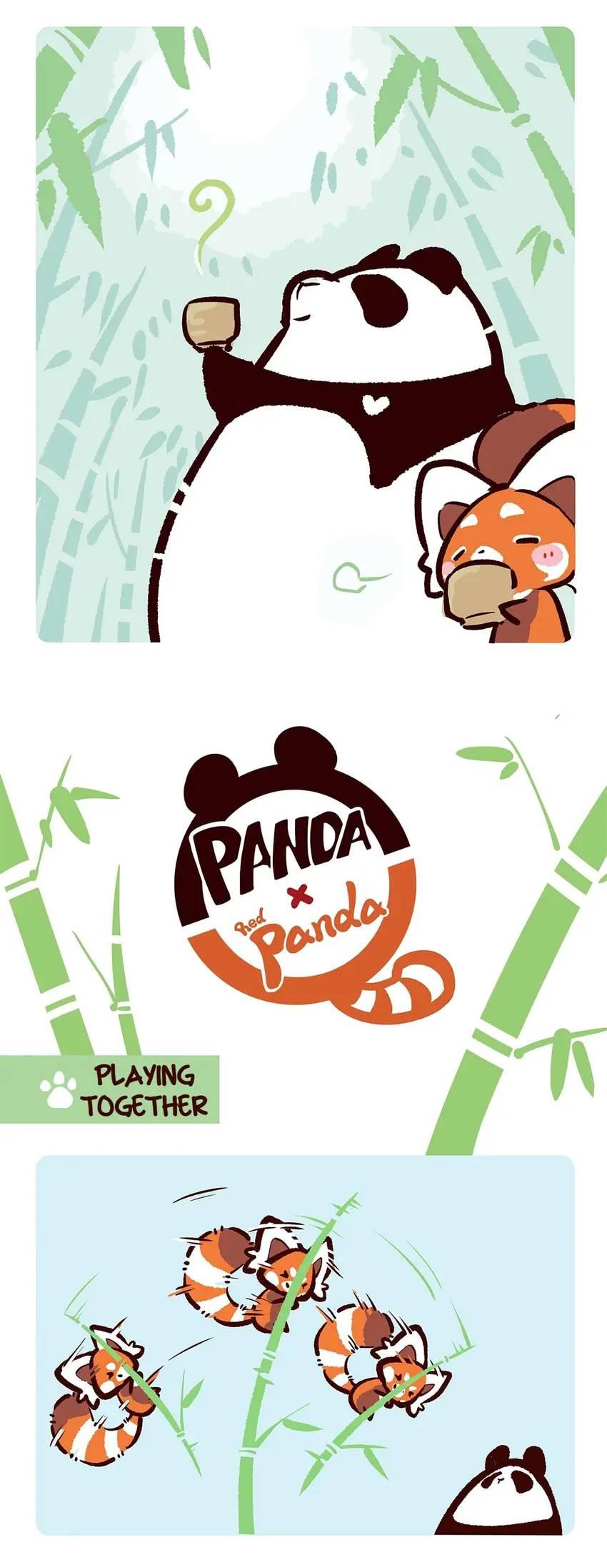 Panda and Red Panda - chapter 74 - #4