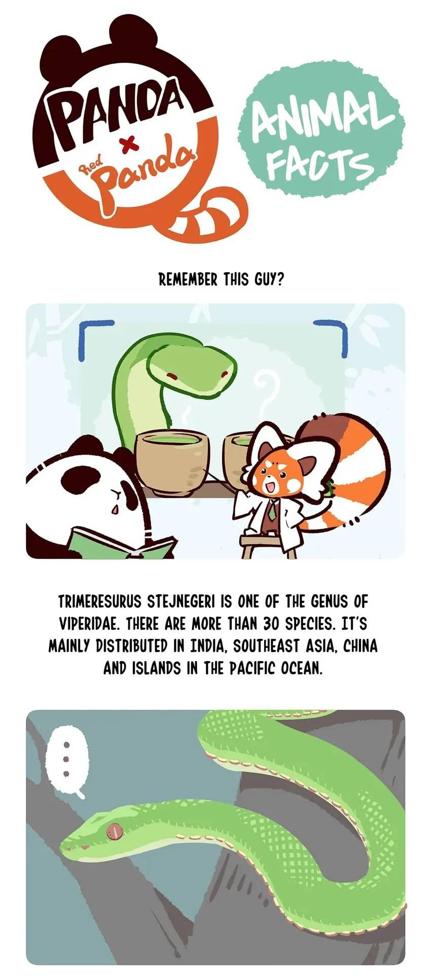 Panda and Red Panda - chapter 74 - #6