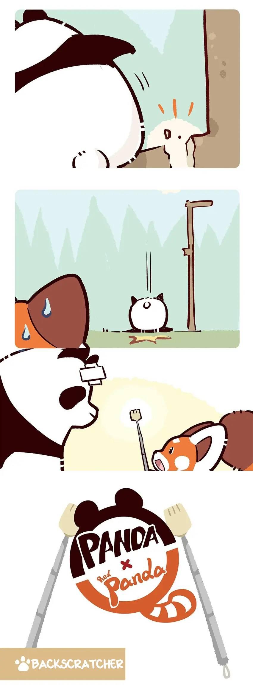 Panda and Red Panda - chapter 75 - #3