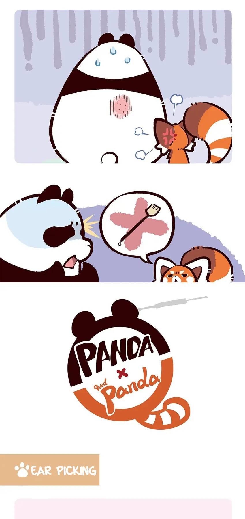 Panda and Red Panda - chapter 75 - #5