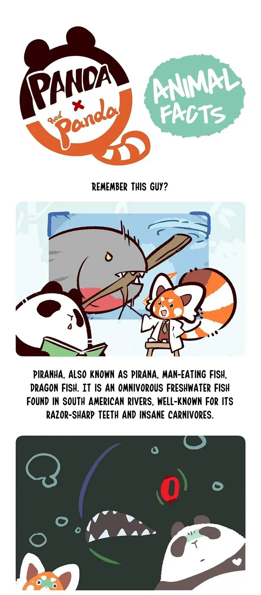 Panda and Red Panda - chapter 87 - #6