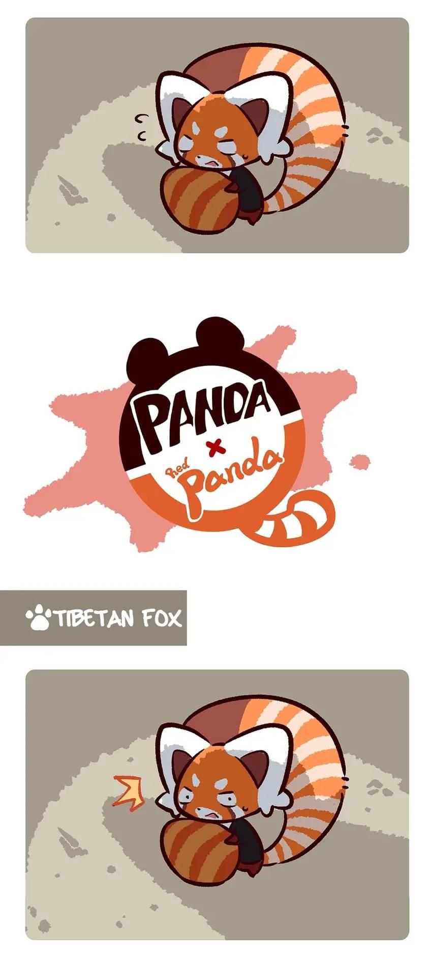 Panda and Red Panda - chapter 90 - #5