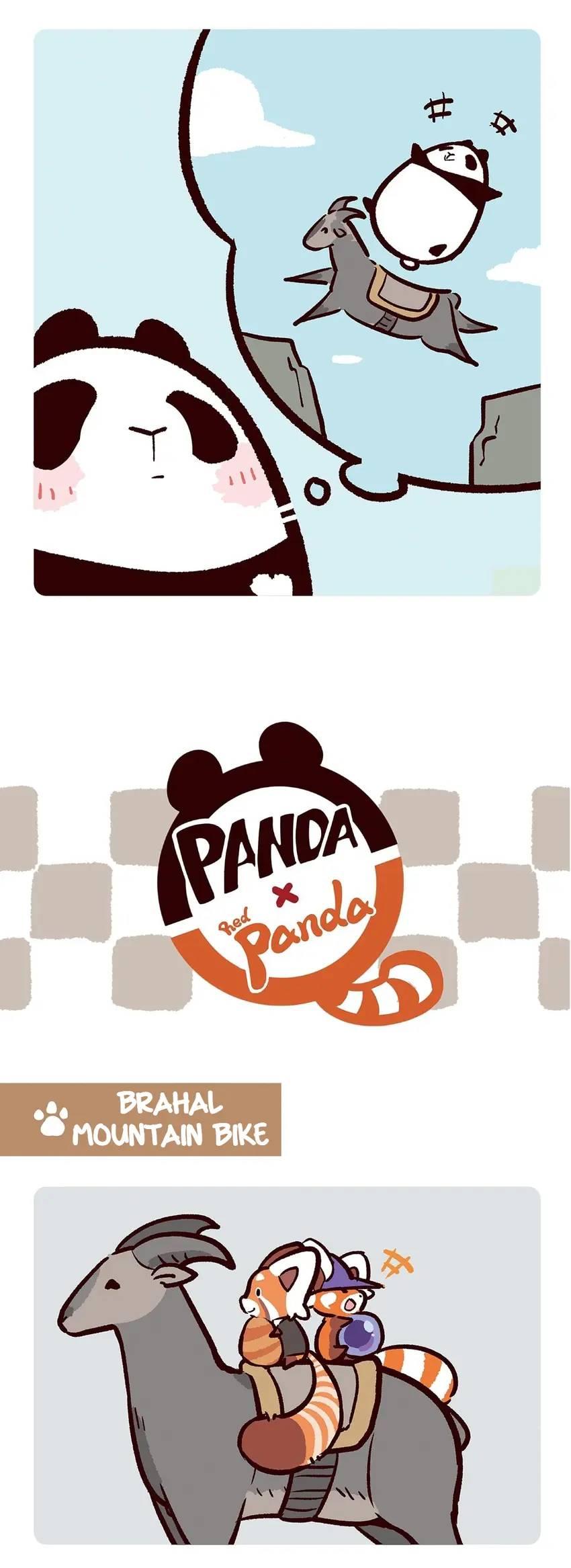 Panda and Red Panda - chapter 92 - #5