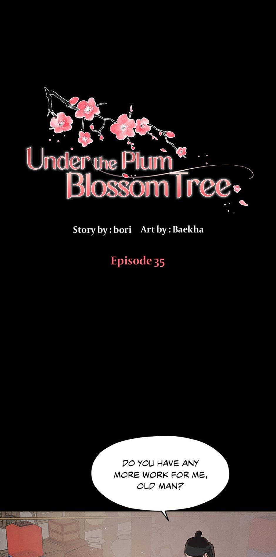 Plum Blossom Shade - chapter 35 - #2