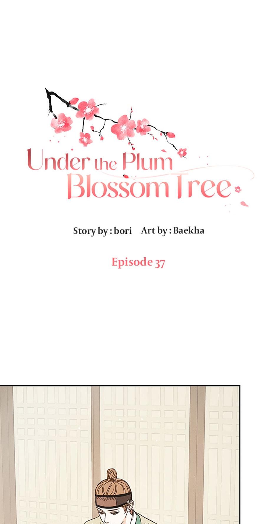 Plum Blossom Shade - chapter 37 - #2